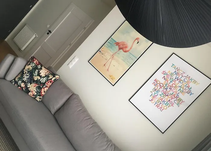 One Apartment